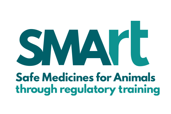 SMArt Logo